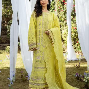 Nivelle functional dress